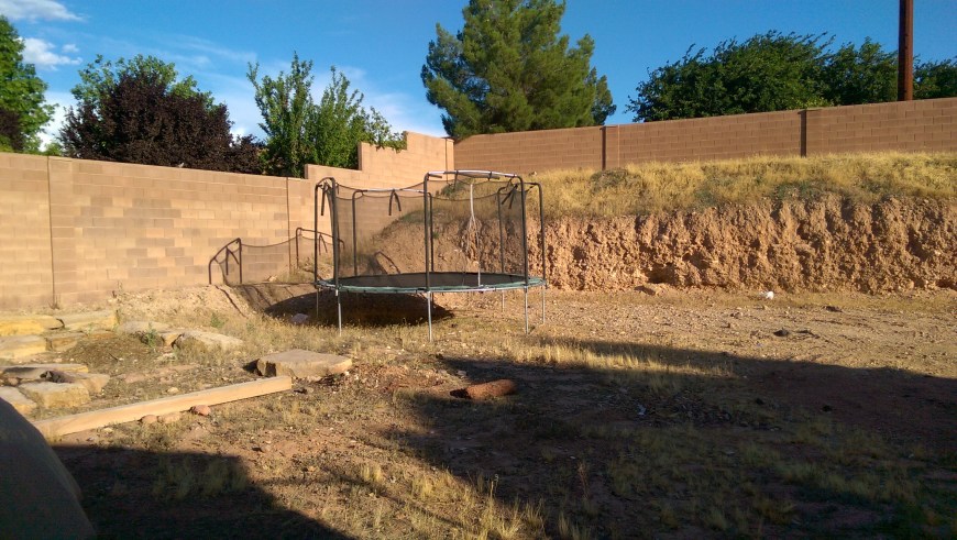 The barren wasteland back corner of the yard