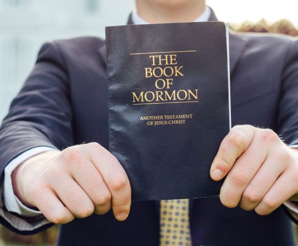 IMG_5548 - Copy (Medium) (Small)